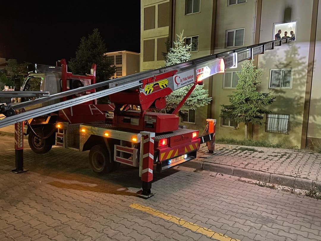 Ana filo gÃ¶rÃ¼nÃ¼mÃ¼